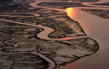 Aerial View of a Salt Marsh - South Carolina