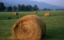 Evening Light on Hay Rolls - Great Smoky Mountains - Tennessee