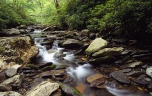 Stream Along Alum Caves Bluff Trail - Great Smoky Mountains - Tennessee