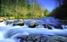 Little Pigeon River - Great Smoky Mountains - Tennessee