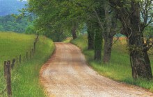 Country Road through Cades Cove - Tennessee