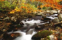 Laurel Creek in Autumn - Great Smoky Mountains - Tennessee