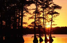 Sunset on Reelfoot Lake - Tennessee