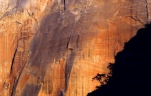 Cliffside Colors - Zion National Park - Utah