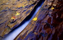 Watercut Rock and Fall Reflections - Zion - Utah