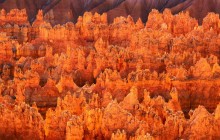 Hoodoos - Bryce Canyon National Park - Utah