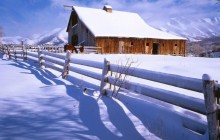 Fresh Country Snow - Utah