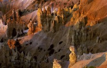 Hoodoos - Bryce Canyon - Utah