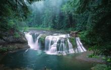 Forest waterfall wallpaper - Waterfalls