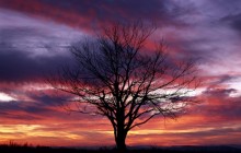 Colorful Sky - Shenandoah National Park - Virginia