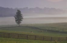 Shenandoah Valley - Woodstock - Virginia