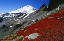 Mount Baker - North Cascades - Washington