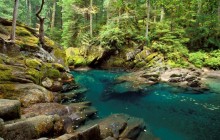 Ohanapecosh River - Mt. Rainier National Park - Washington