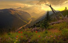 Breaking Sunlight - Mount Rainer - Washington