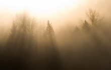 Sun Filtering Through the Fog - Snoqualmie Valley - Washington