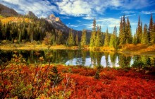 Fall in the Tatoosh Wilderness - Mount Rainier Park - Washington