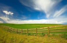 Afternoon in the Palouse Region - Washington