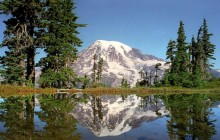 Tahoma's Looking  Glass - Mt. Rainier National Park - Washington