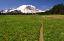 Scenic Trail - Mount Rainier National Park - Washington