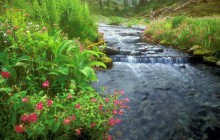 Bagley Creek - Mount Baker Wilderness - Washington