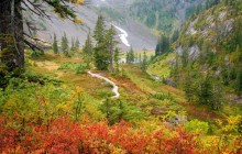 Heather Meadows - Mount Baker Wilderness - Washington