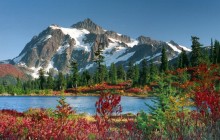 Picture Perfect - Snoqualmie Forest - Washington