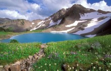 Alpine Tranquility - Olympic National Park - Washington