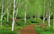 Garden Path - Washington