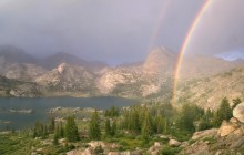 Island Lake Rainbow - Bridger Forest - Wyoming