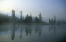 Morning Fog Over Yellowstone River - Wyoming
