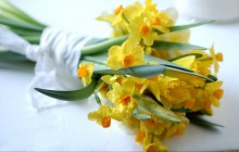 Daffodils bouquet wallpaper - Bouquets