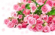 Pink roses bouquet - Bouquets