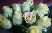 White roses bouquet - Bouquets