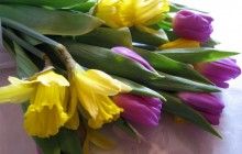 Tulips and daffodils bouquet - Bouquets