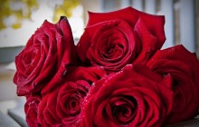 Bouquet of roses wallpaper - Bouquets