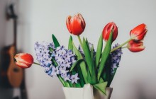 Tulips and lilacs bouquet - Bouquets