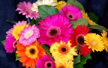 Mothers day flowers - Bouquets