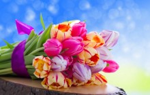 Tulips bouquet wallpaper - Bouquets