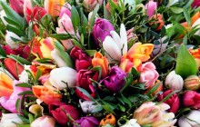 Large bouquet of flowers - Bouquets