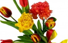 Tulips and carnations bouquet - Bouquets