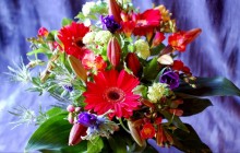 Real flower bouquet - Bouquets