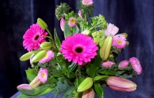Fresh flowers bouquet - Bouquets