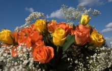 Big bouquet of flowers - Bouquets