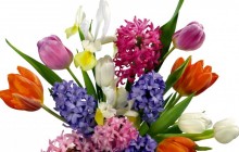 Tulips, irises and hyacinths bouquet - Bouquets