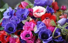 Blue flower bouquet - Bouquets