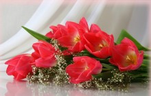 A bouquet of flowers - Bouquets
