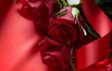 Red rose bouquet - Roses