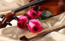 Violin and roses wallpaper - Roses