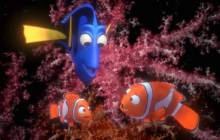 Finding Nemo pictures - Finding nemo