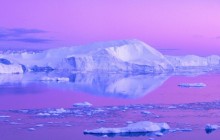Icebergs in Jakobshavn - Disko Bay - Greenland